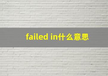 failed in什么意思